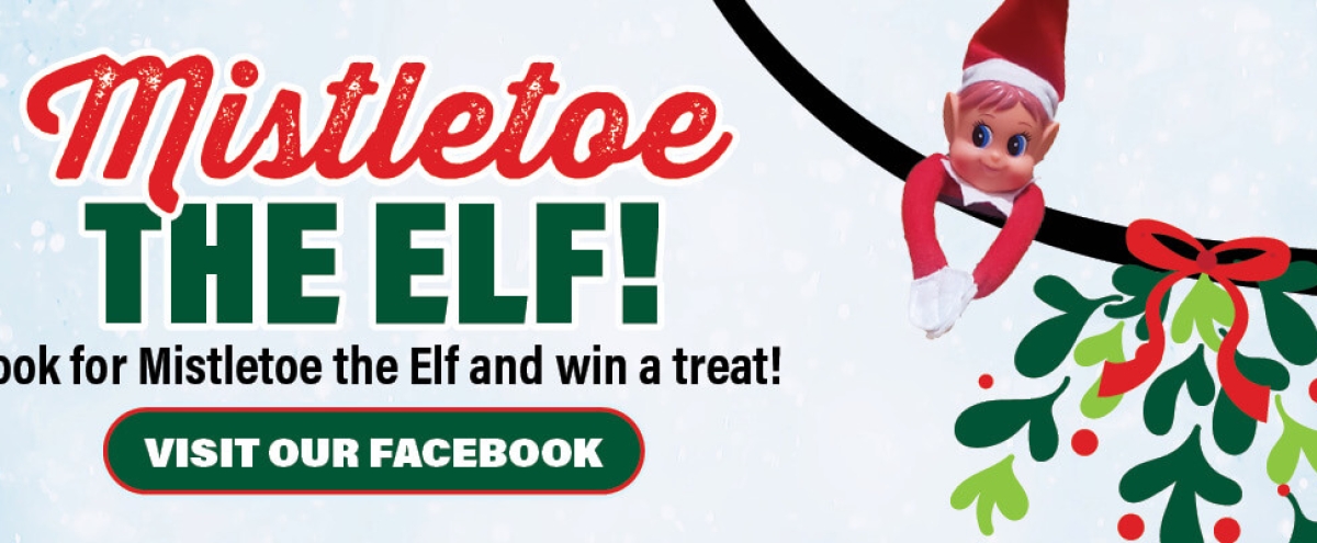 ELF_ON_THE_SHELF_WEBSLIDERS_2024