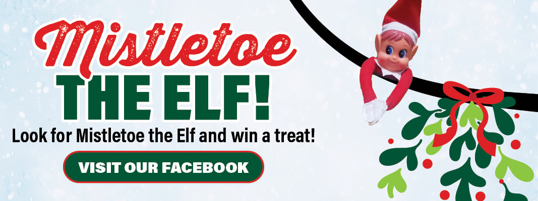 ELF_ON_THE_SHELF_WEBSLIDERS_2024