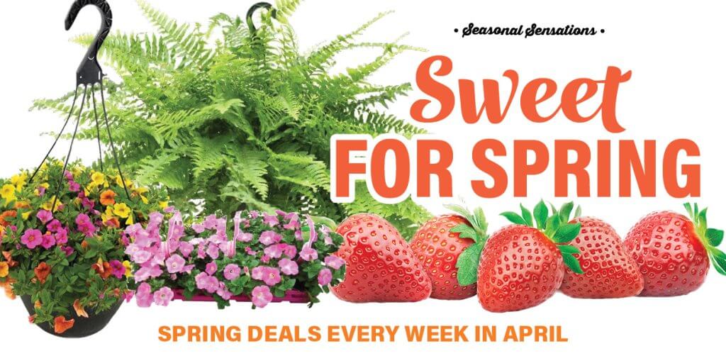 Sweet for Spring - new deals every week in April